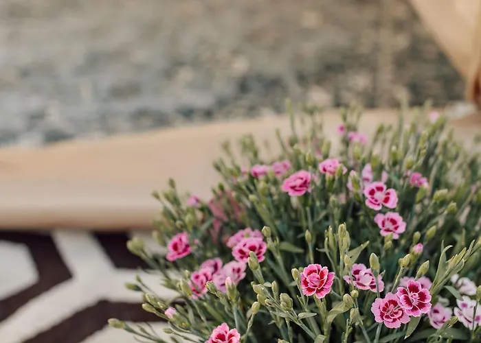 Taeheonni Glaemping *